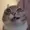 wybieeee's icon
