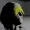 Starman243's icon