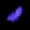 Tzing's icon