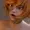 poshlyNSFW's icon