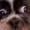 FirwoekAda's icon