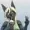 Amelia764's icon