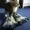 Rourawrreuxx's icon