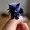 Nightfalling08's icon
