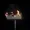 hyet99's icon