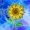 Sunflower0120's icon