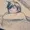 S4akeVen0m's icon
