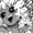 06w's icon