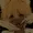 SCRXXP's icon