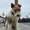 CLyshaTeLb's icon