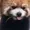 Linn3t's icon