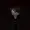 pjrkk's icon