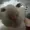 vinnyizcul's icon
