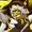 p40g3jmer3k's icon