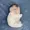 orelpup's icon