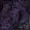 Dimitte's icon
