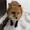G-MICquark's icon