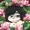 miloshka03's icon