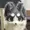 REXONEMUSIC's icon