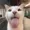 nicoowatermelon's icon