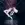SYNAPSEX