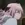 astolfo671games