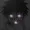 CURSEDISCOOL's icon