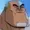 ArtherisLeafy's icon