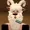 Joacous's icon