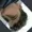 VillianShoelace's icon