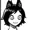 KiwiEnigma's icon