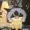 k44kiccio's icon