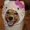 capybaraluv's icon