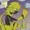 raijoe's icon