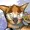 Zvak's icon