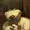 WenderGST080's icon