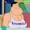 Shortcookiecat's icon