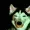 G4RG4JO00O's icon