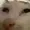 RansomSMC's icon
