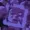 DallyDEF's icon