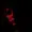 Blobingout's icon