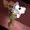 Gg9900000's icon