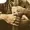 Fleshbag's icon