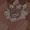 esuyuyo's icon