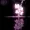 CiceroSonic555's icon