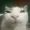 MN87GMD's icon