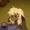 censusdesignated's icon