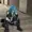 Gallox07's icon
