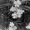 4mbi's icon
