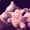 RobinanaNG's icon